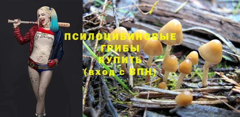 где продают наркотики  Сорочинск  Галлюциногенные грибы MAGIC MUSHROOMS 